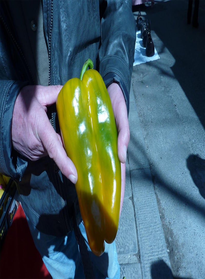 جي جوت بذور فلفل حلو هيرلوم هيريتيج. فلفل أحمر صقلية حلو ضخم. مزارع عضوي معتمد. - Image 1