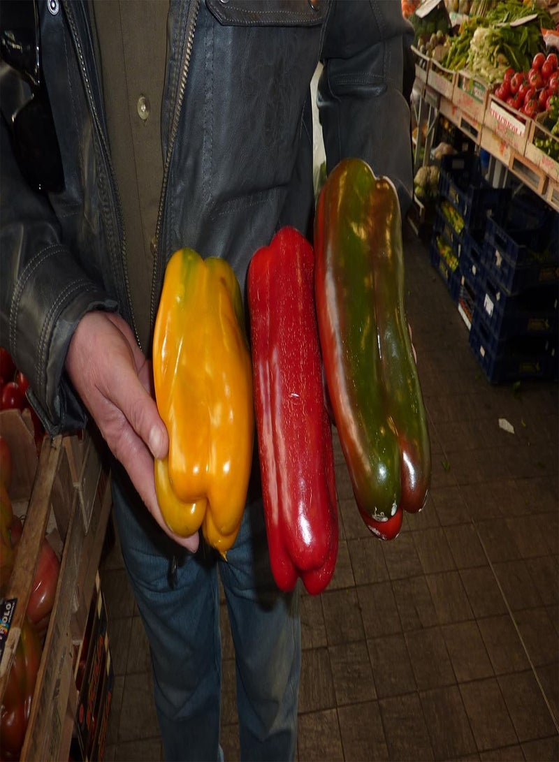 جي جوت بذور فلفل حلو هيرلوم هيريتيج. فلفل أحمر صقلية حلو ضخم. مزارع عضوي معتمد. - Image 2