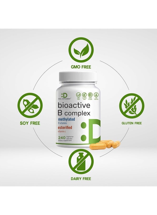 DEAL SUPPLEMENT مجمع فيتامين ب النشط | 240 كبسولة نباتية - فيتامينات ب ميثيلية وفيتامين سي استر، قوة عالية وسهولة الامتصاص - مكمل للمناعة والطاقة والتمثيل الغذائي - غير معدلة وراثيًا، نباتي - Image 3