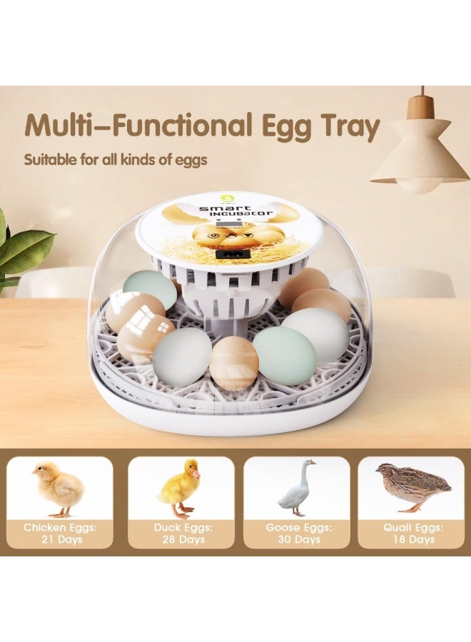 WALALLA 12 Egg Incubator for Hatching Chicken, Duck & Quail Eggs, Automatic Egg Turner Every 2 Hours, Digital Temperature Control, Humidity Monitoring, Transparent Lid, Egg Candler & Auto Water Refill - Image 2