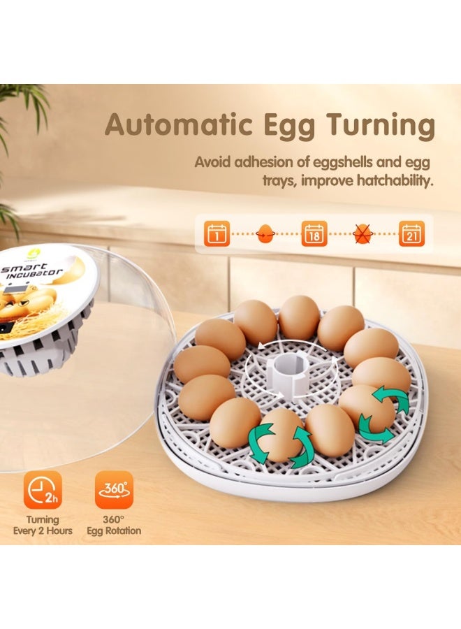 WALALLA 12 Egg Incubator for Hatching Chicken, Duck & Quail Eggs, Automatic Egg Turner Every 2 Hours, Digital Temperature Control, Humidity Monitoring, Transparent Lid, Egg Candler & Auto Water Refill - Image 4