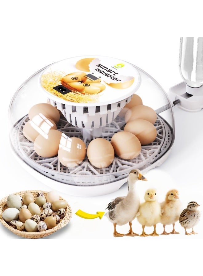 WALALLA 12 Egg Incubator for Hatching Chicken, Duck & Quail Eggs, Automatic Egg Turner Every 2 Hours, Digital Temperature Control, Humidity Monitoring, Transparent Lid, Egg Candler & Auto Water Refill - Image 1