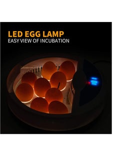 Excefore م incubator بيض ، مع 9 مصباح LED اختبار بيض و جهاز تحكم في درجة الحرارة ، جهاز تربية الفقس المنزلي صغير الحجم بضغط مفتاح واحد ، 9 م incubator للفقس للدجاج والإوز والبط والطيور  - Image 4