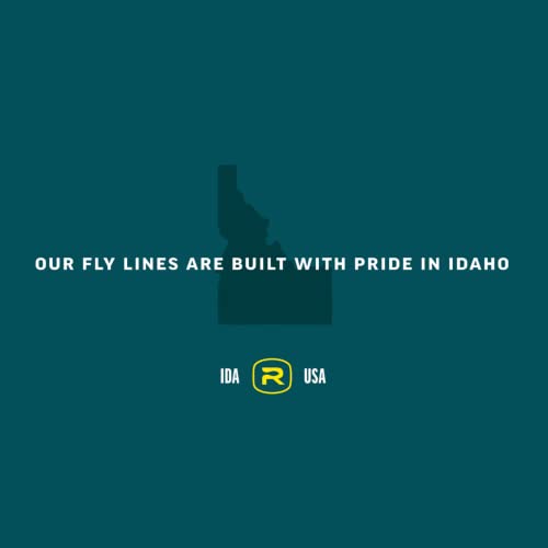 RIO PRODUCTS Rio Mainstream Type 6 Full Sinking Fly Line Black Color Size WF5S - Type 6 - Image 3