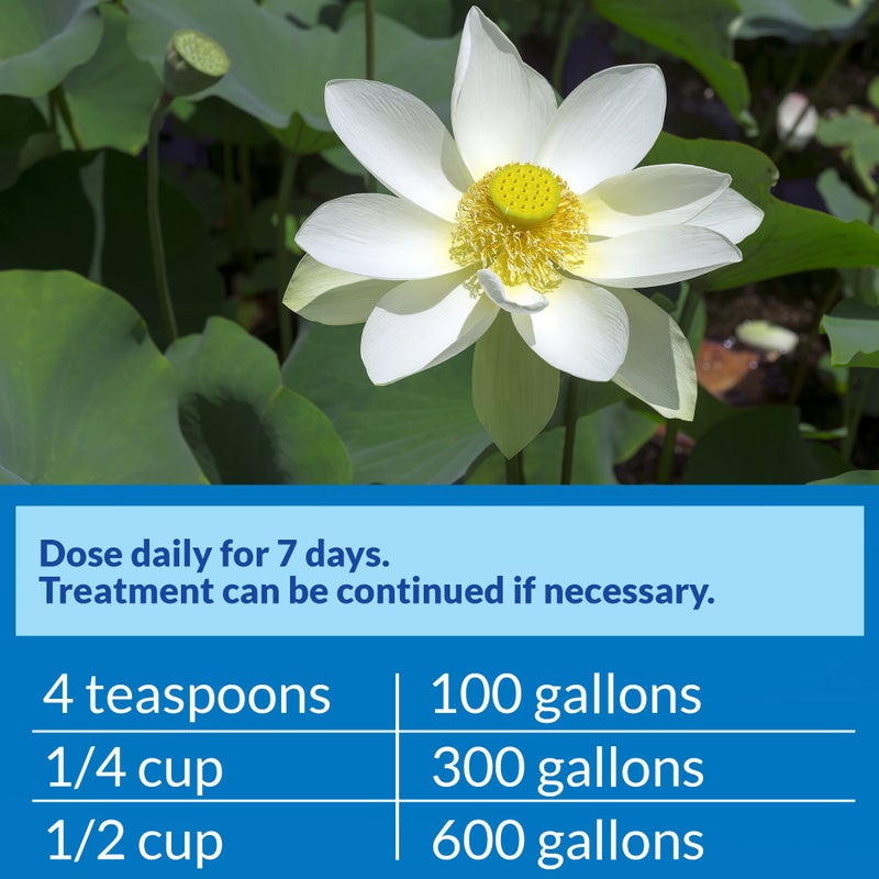 API PondCare® PimaFix Remedy for Koi & Goldfish (16 oz.) - Image 5