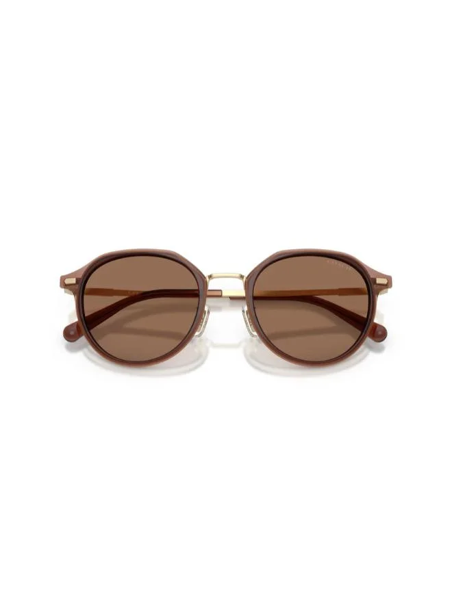 COACH  Round Sunglasses for Men | Best Price UAE