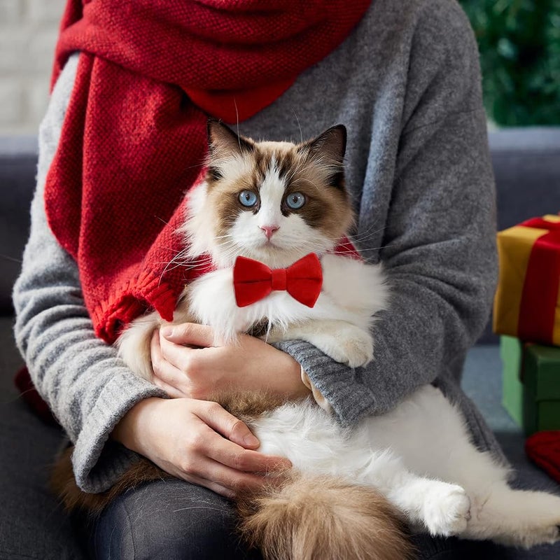 Sliverdew 2 Pcs Velvet Cat Collar with Bell and Bowtie, Adjustable Breakaway Cat Collars Kitten Small Puppy Safety Bow Tie Solid Wedding Basic Color Cat Bow Tie Collar - Image 3