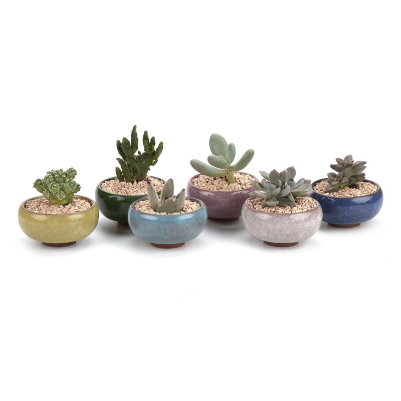 T4U 2.5 Inch Small Ceramic Succulent Planter Pot with Drainage Hole Set of 6, Ice Crack Glaze Plant Container for Cactus, Gardening Plant Gifts for Women Mom Aunt Home Office Decor - Image 1
