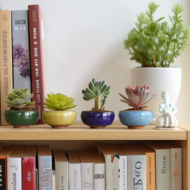 T4U 2.5 Inch Small Ceramic Succulent Planter Pot with Drainage Hole Set of 6, Ice Crack Glaze Plant Container for Cactus, Gardening Plant Gifts for Women Mom Aunt Home Office Decor - Image 3