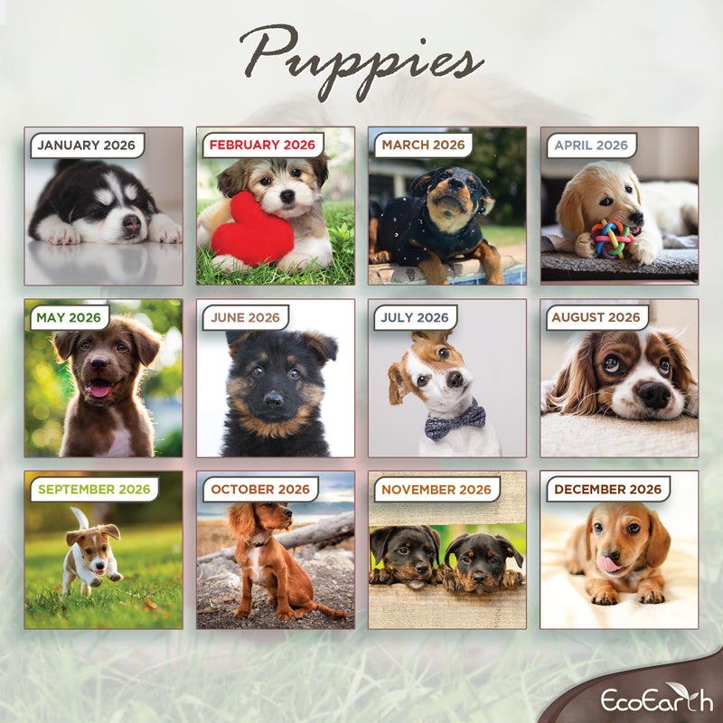 EcoEarth - Biodegradable 11x22 Inch - Open - 12-Month Vertical Hanging Wall Calendar - 2026 Monthly Calendar - Cute Puppies - Image 2