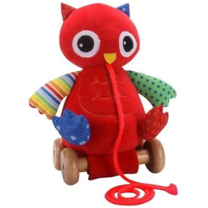 PULL AND PUSH OWL