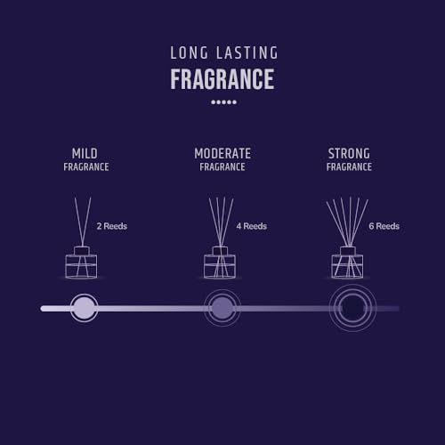Aromahpure Premium Reed Diffuser Set 120 ML with 8 Fiber Reed Sticks | Lavender & Lemongrass Long Lasting Upto 35 Days Each | Room Freshener for Bedroom, Washroom, Office | Toxin Free, Aromatherapy - Image 5