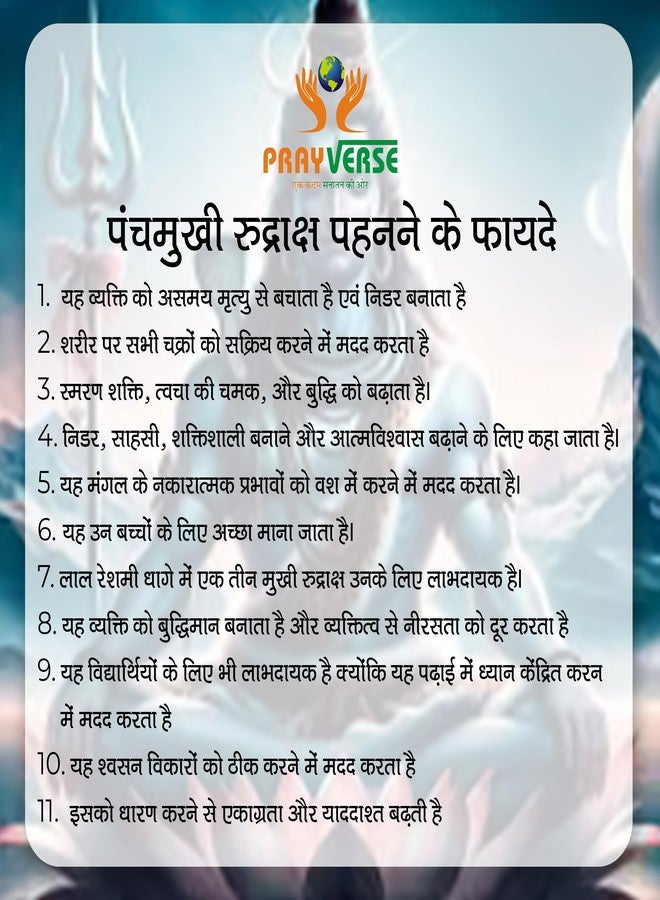 PRAYVERSE 05 Mukhi Rudraksha أصلي مع شهادة/Shiv ji/Mahadev Rudraksha أصلي معتمد للرجال والنساء والأطفال - Image 4