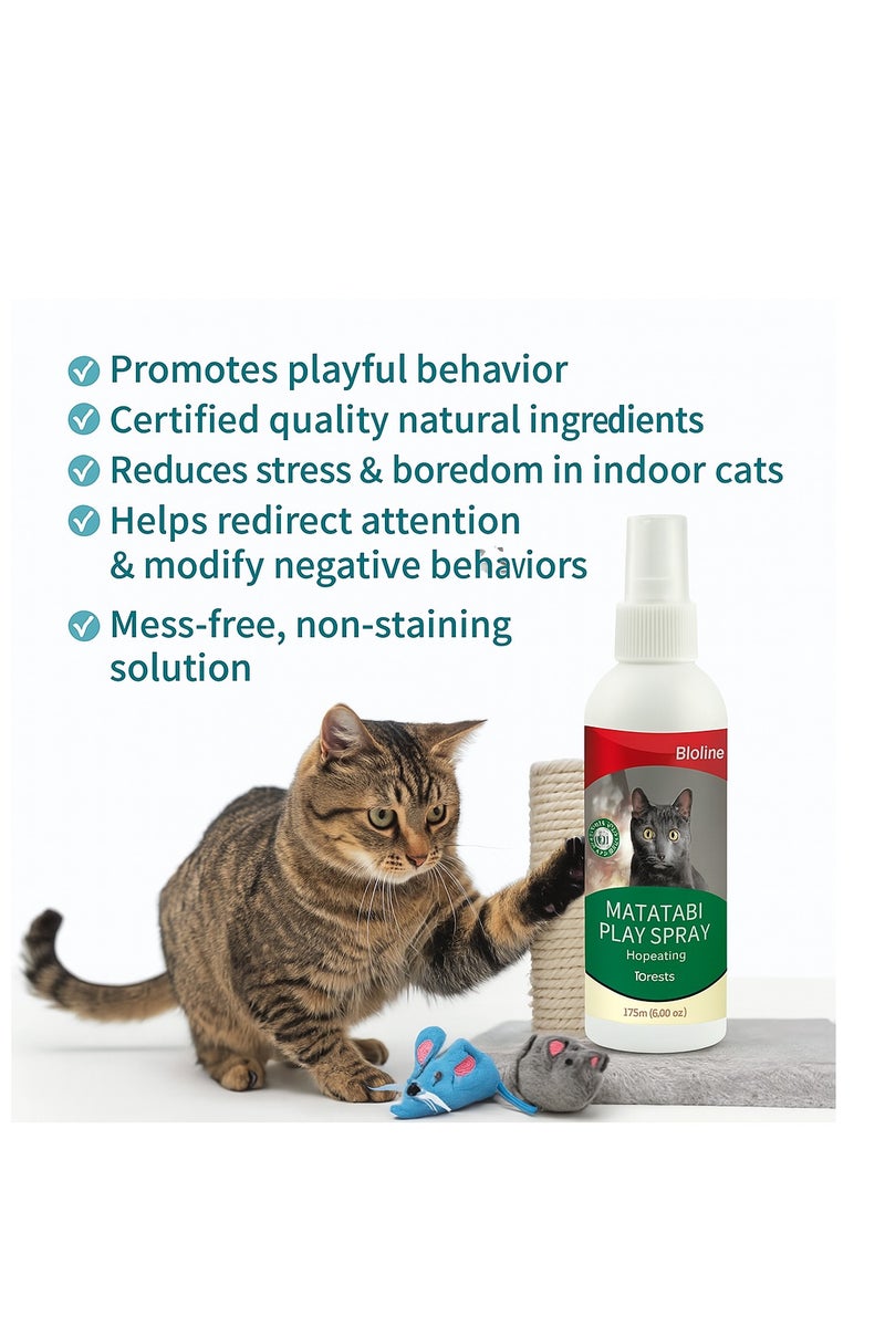 بايولاين بخاخ بيولاين ماتاتابي للقطط 175 مل – محفز طبيعي للعب وتخفيف التوتر بنبتة السيلفر فاين (ماتاتابي) - Image 2