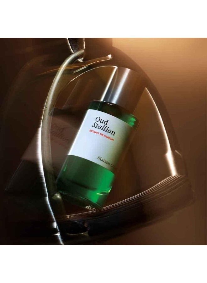 Maison Crivelli Oud Stallion 100 ML - Image 2
