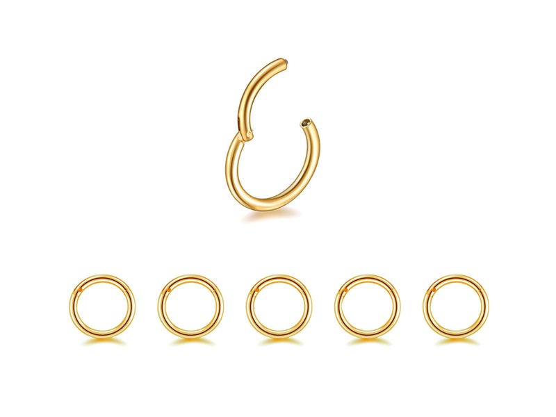 HQLA 5 قطع 16G 18G حلقات أنف من الفولاذ الجراحي حلقة تراغوس سبتوم حلقة أذن للنساء والرجال مجموعة مجوهرات ثقب الجسم طول القضيب 6mm/8mm/10mm/12mm/14mm (5 قطع - 16G - ذهب - 6mm) - Image 1