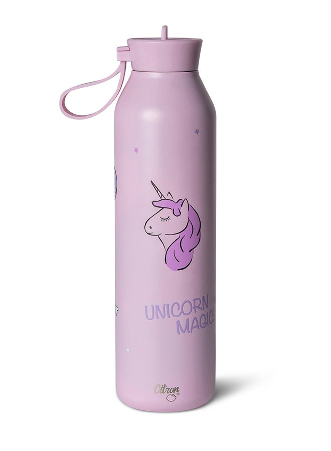 Citron Stainless Steel Water Bottle 750ml - Stormy Unicorn - Large Insulated Bottle  - Image 2