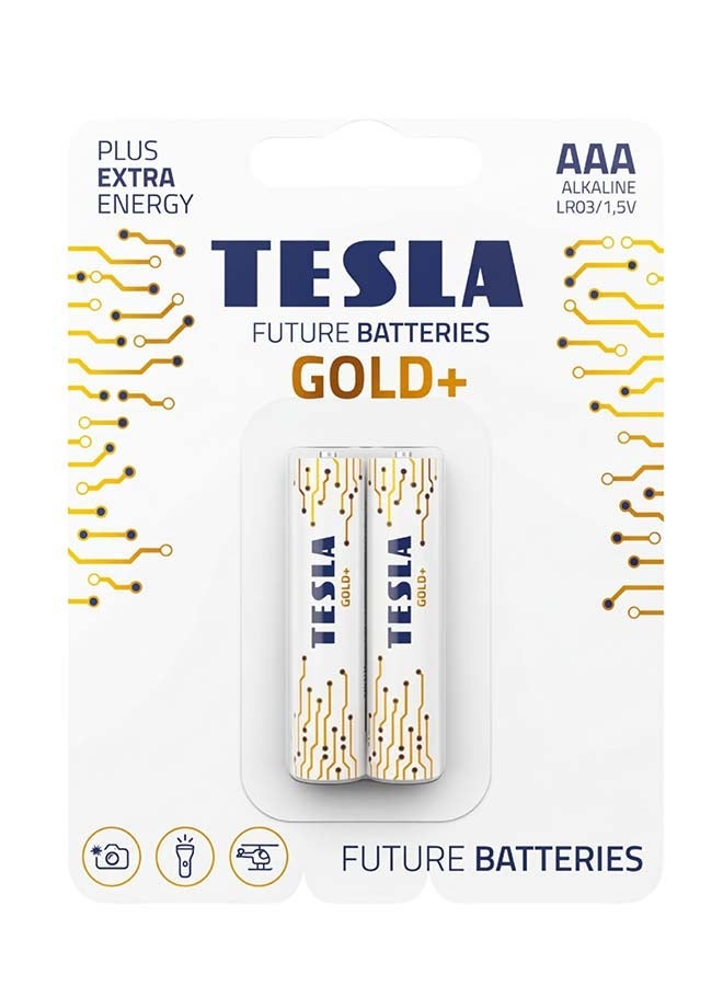 TESLA BATTERIES  AAA GOLD+ ALKALINE  LR03 1.5 2pcs - Image 1
