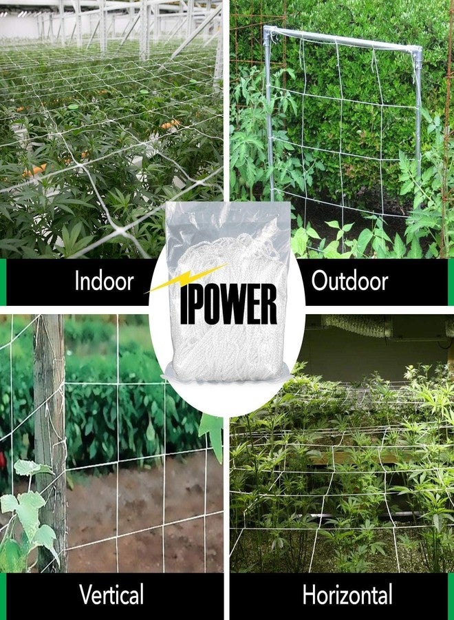 iPower 5 x 15FT Plant Trellis Netting, Heavy-Duty Polyester Grow Net, Outdoor Indoor Rectangle Mesh for Climbing Plants, Fruits, Vegetables, Vines,White - Image 2