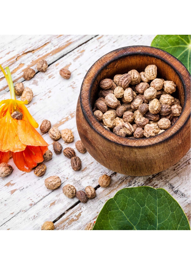 ڤسيل24 بذور Nasturtium الفاخرة من Radiant Garden Gems للأزهار الملونة والصالحة للأكل، عبوة من 3 قطع - Image 4