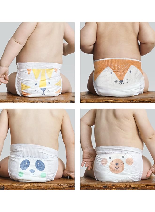 Kit & Kin Taped Baby Diapers For New Born Size 1 2 6Kg Flash Dry With Superior Leak Protection Ultimate - Image 4