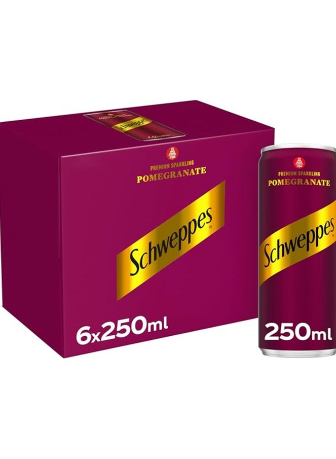 Schweppes Soft Drink Pomegrenate Pack 6×250Ml