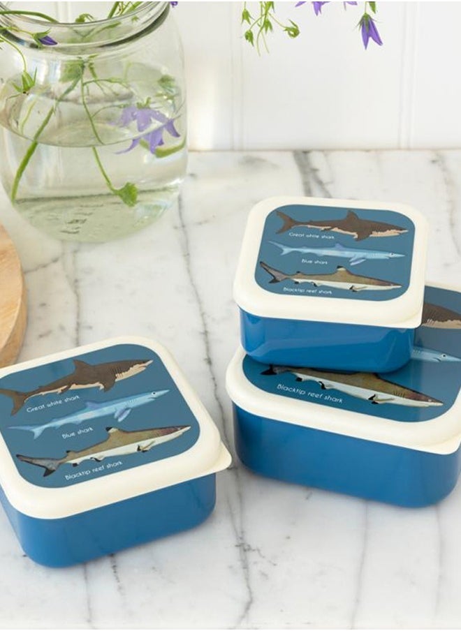 Rex London Sharks Snack Boxes (Set of 3) – Ocean-Themed Snack Containers for Boys and Girls – Nesting Lunch Boxes for School or Trips - Image 1