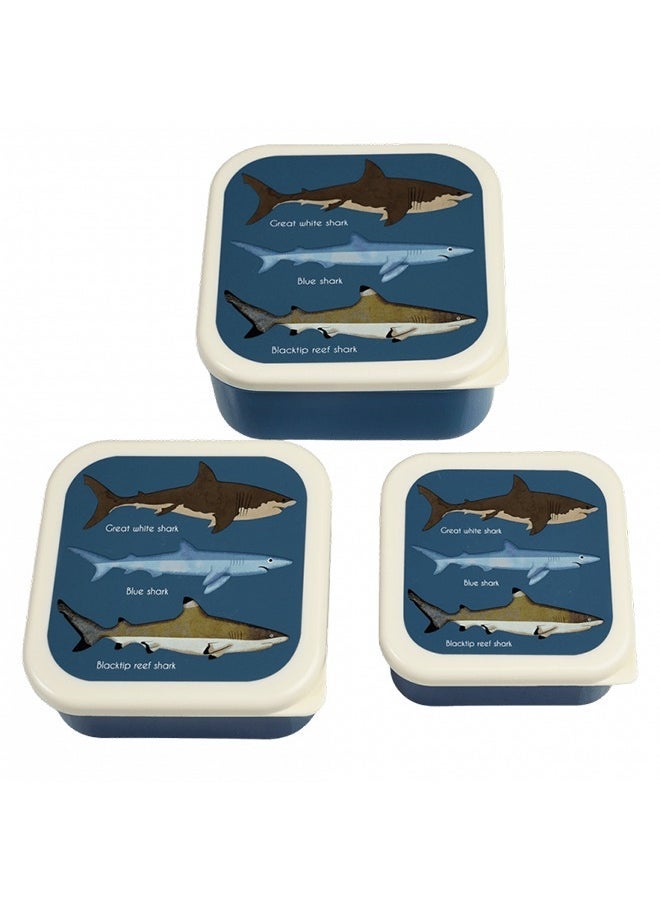 Rex London Sharks Snack Boxes (Set of 3) – Ocean-Themed Snack Containers for Boys and Girls – Nesting Lunch Boxes for School or Trips - Image 3