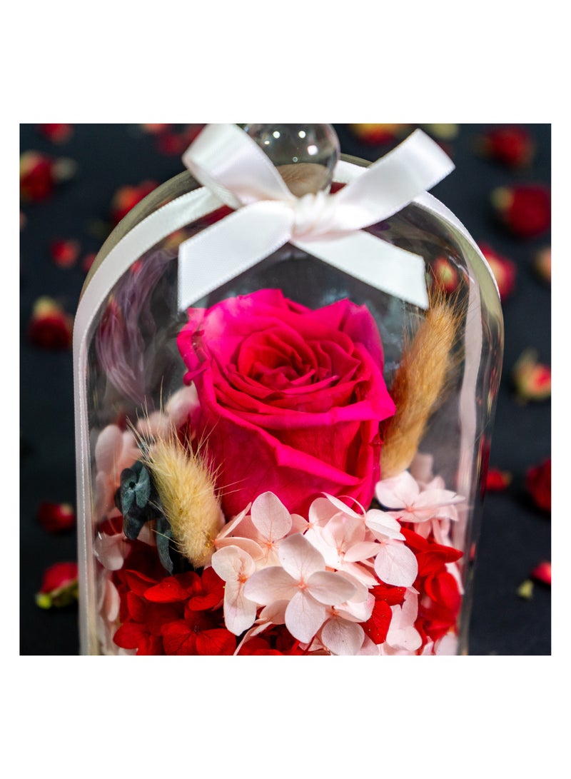   صوفيا طبيعة جرة زجاجية مقببة مع وردة إنفينيتي المحفوظة - Image 1