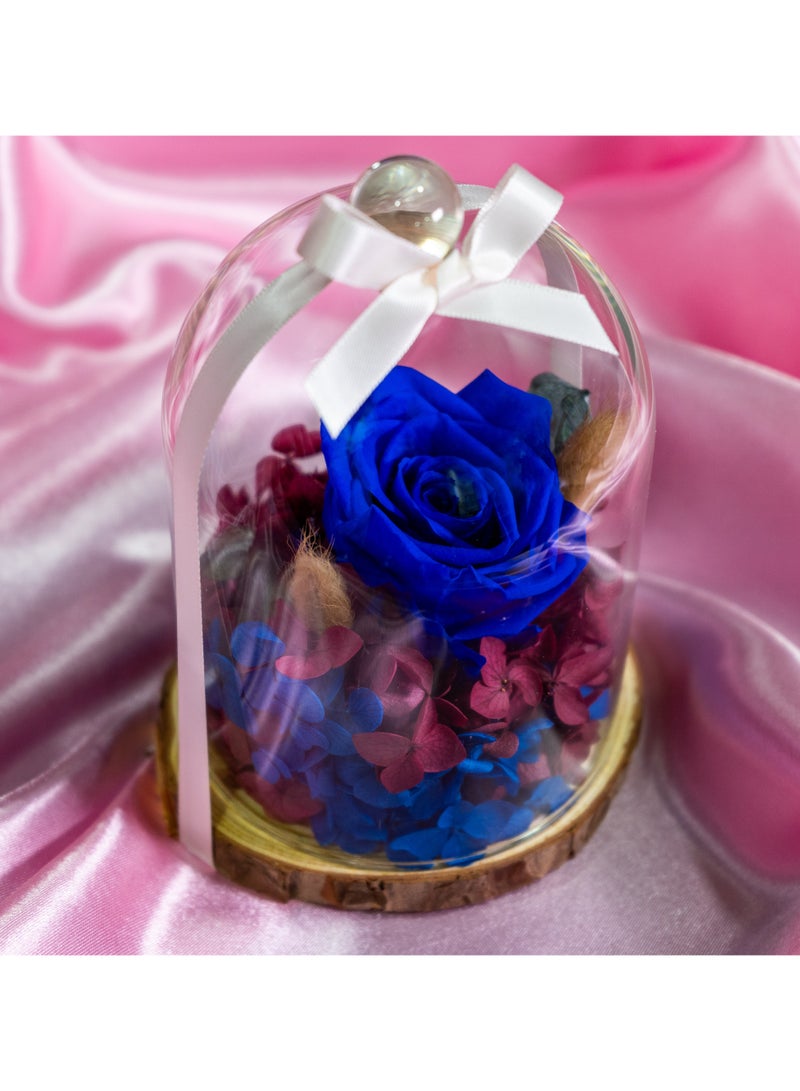   صوفيا طبيعة جرة زجاجية مقببة مع وردة إنفينيتي المحفوظة - Image 2