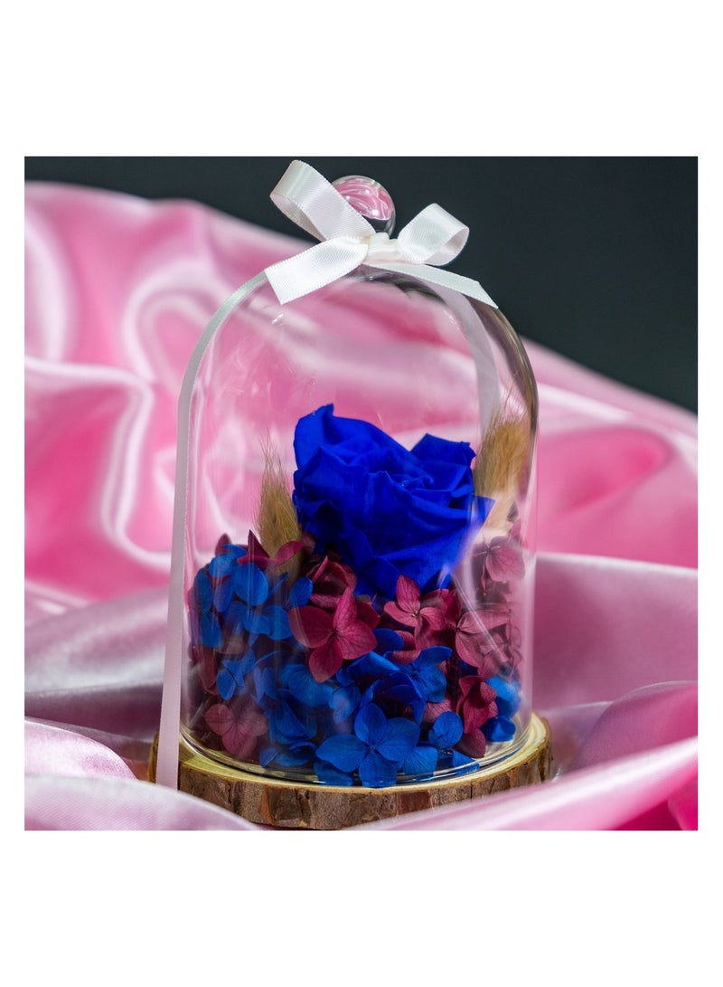   صوفيا طبيعة جرة زجاجية مقببة مع وردة إنفينيتي المحفوظة - Image 3