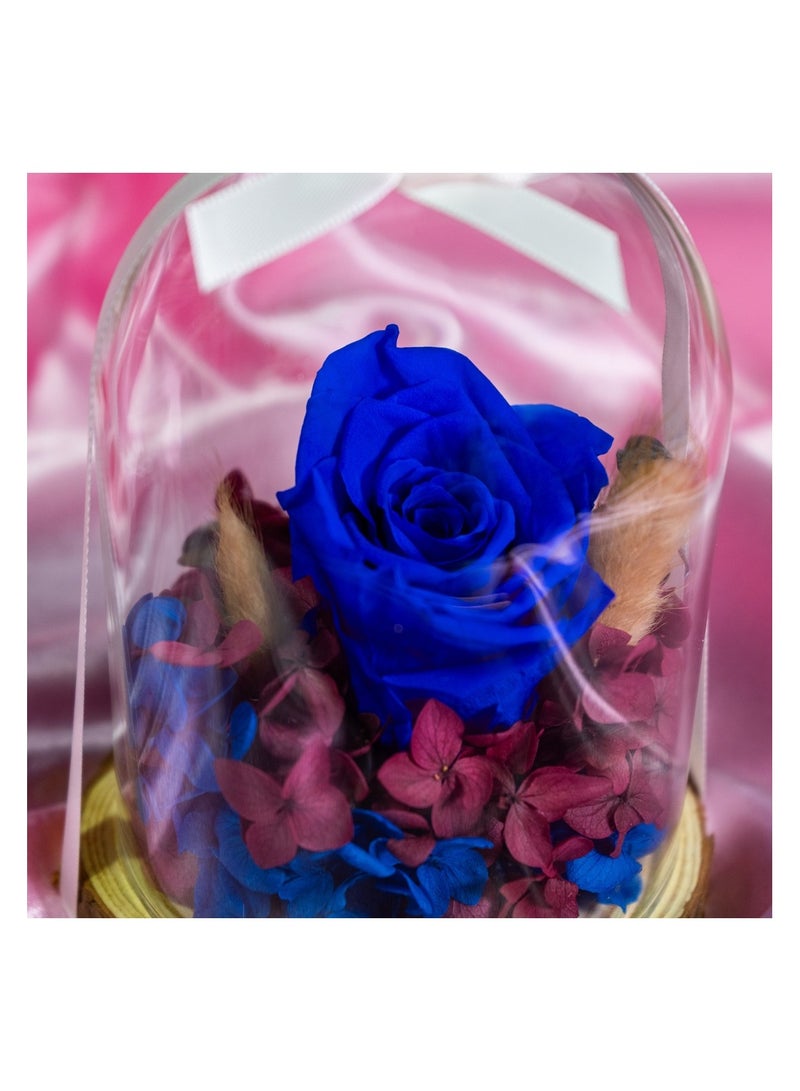   صوفيا طبيعة جرة زجاجية مقببة مع وردة إنفينيتي المحفوظة - Image 4