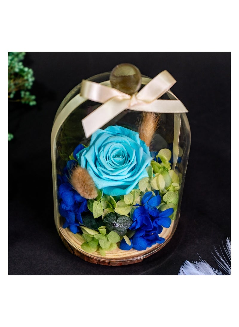   صوفيا طبيعة جرة زجاجية مقببة مع وردة إنفينيتي المحفوظة - Image 5