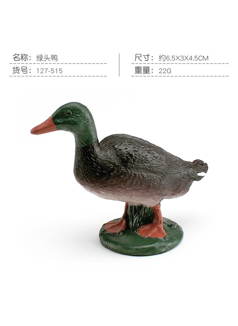 Simulation Poultry Model Toy Set for Kids PL127-515 Mallard 22g 