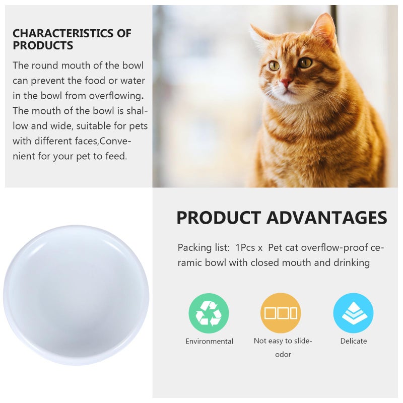 Raised Edge Ceramic Cat Food and Water Bowl Spill Proof White Pet Feeder - Image 5