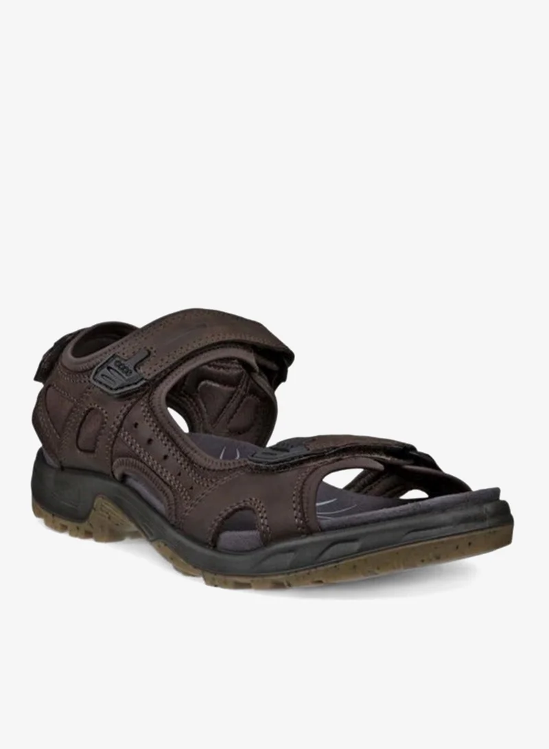 إيكو إيكو إم إكس إم كونكريت