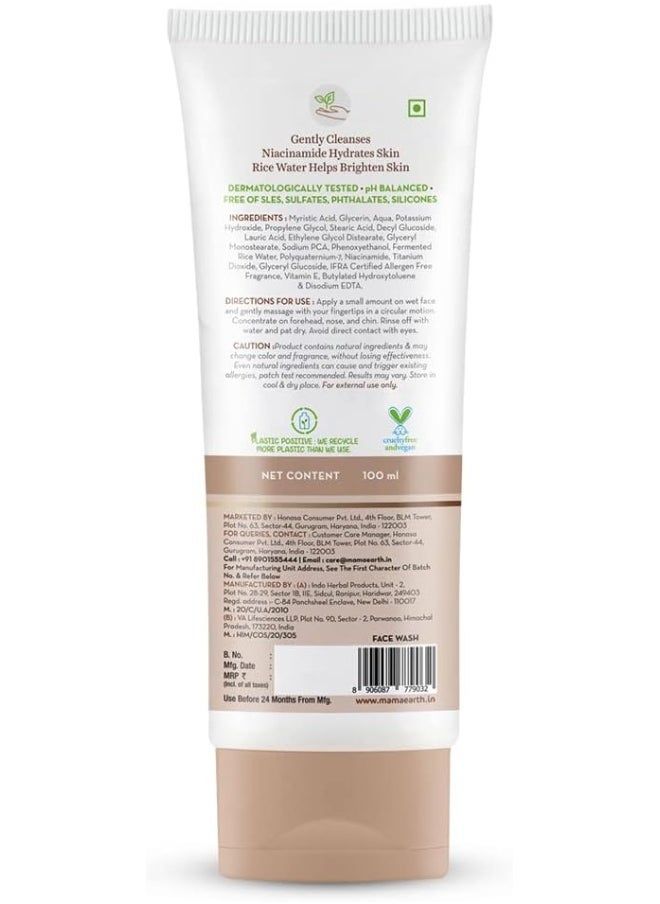 Rice Face Wash With Rice Water And Niacinamide For Glass Skin 100 Ml - pzsku/ZC19F89855CF9795F7ED8Z/45/_/1727685021/f4900d8f-8acb-443b-88a3-d9fce3ef4881