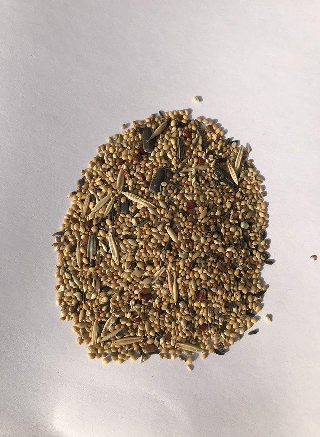 نيتيشري ® طعام ممتاز للطيور لجميع أنواع الببغاوات الصغيرة والببغاوات | مزيج بذور طعام يومي للطيور - 1000 غرام - Image 5