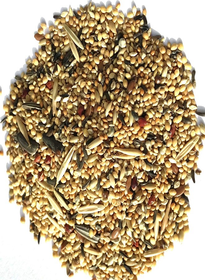 نيتيشري ® طعام ممتاز للطيور لجميع أنواع الببغاوات الصغيرة والببغاوات | مزيج بذور طعام يومي للطيور - 1000 غرام - Image 4