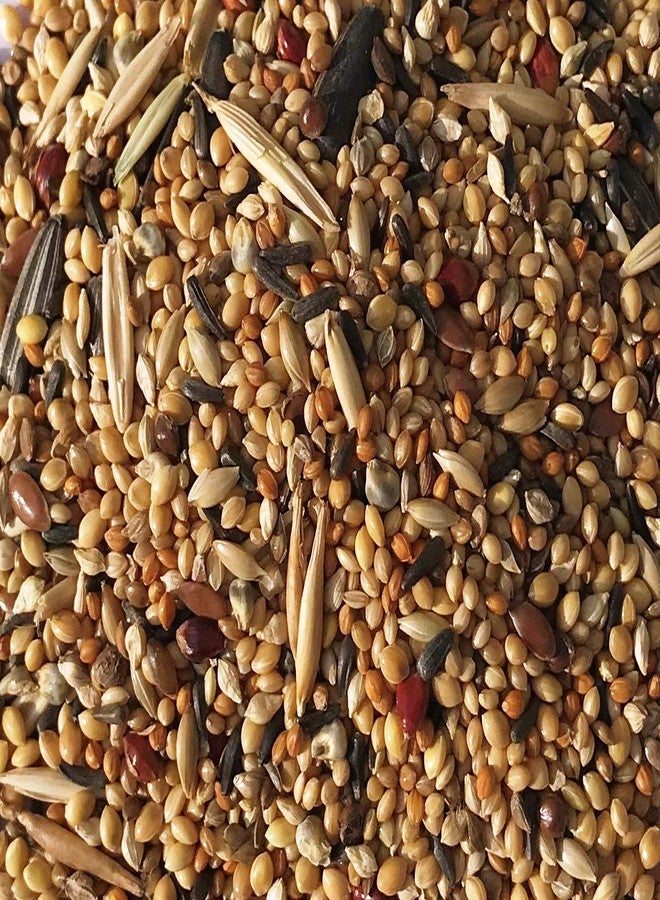 نيتيشري ® طعام ممتاز للطيور لجميع أنواع الببغاوات الصغيرة والببغاوات | مزيج بذور طعام يومي للطيور - 1000 غرام - Image 3