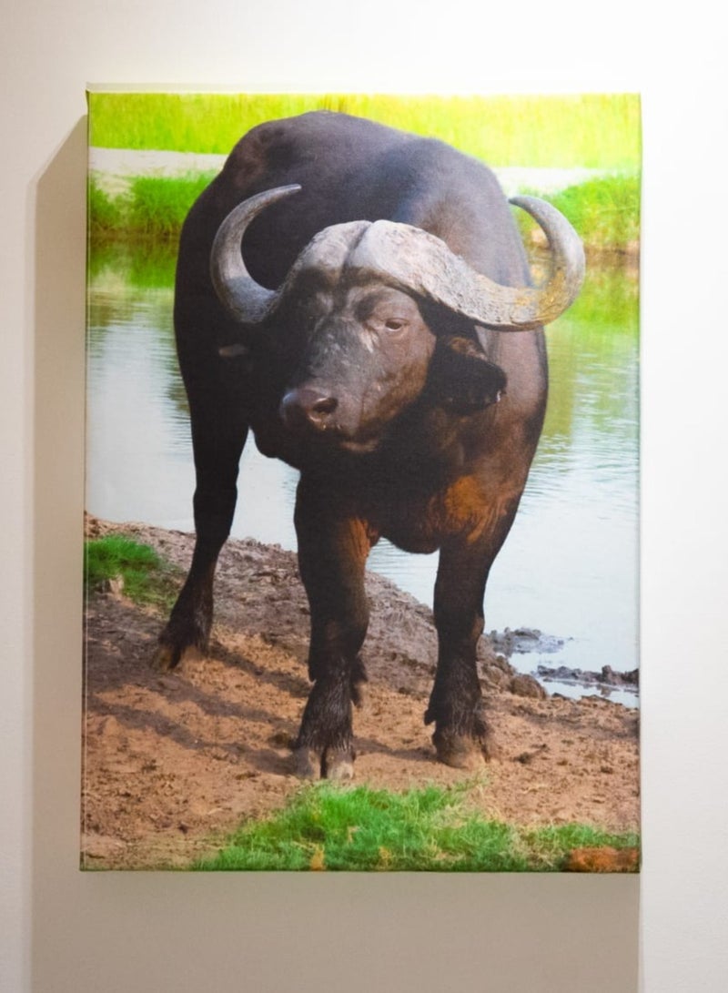 Buffalo at Dusk Canvas Wall Frame - Image 1