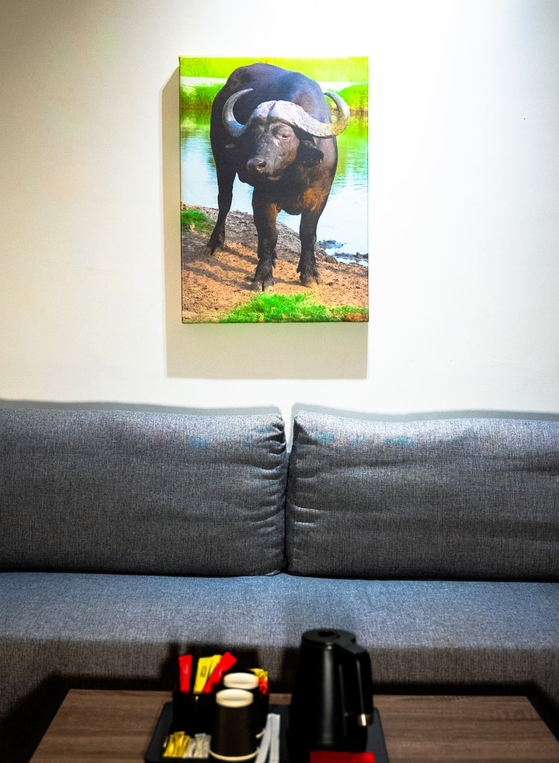Buffalo at Dusk Canvas Wall Frame - Image 2