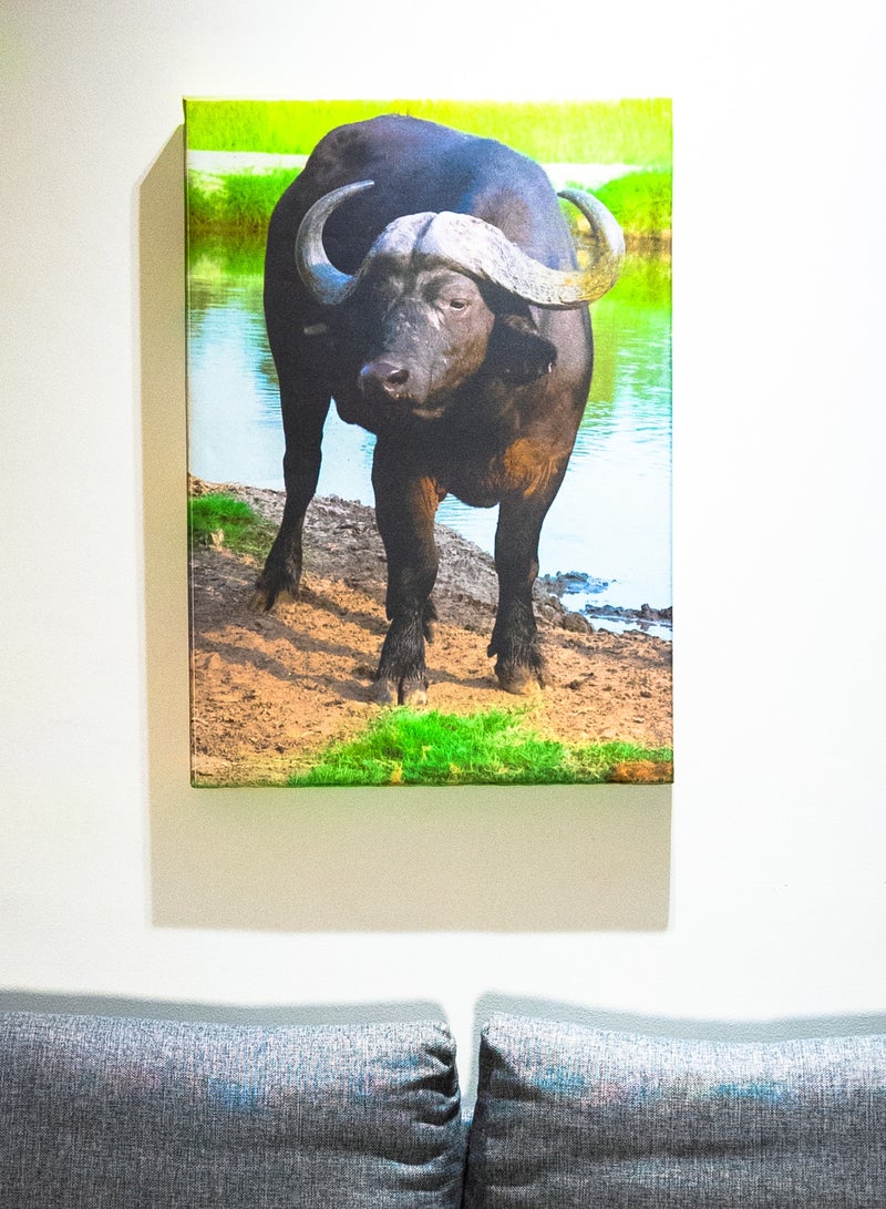 Buffalo at Dusk Canvas Wall Frame - Image 3