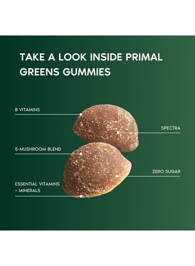 Primal Harvest Super Greens Gummies, Superfood Blend with Adaptogenic Mushrooms Vitamins & Nutrient-Rich Minerals & Antioxidants for Energy & Immune Support (1 Pack (60 Count), Berry) - Image 4