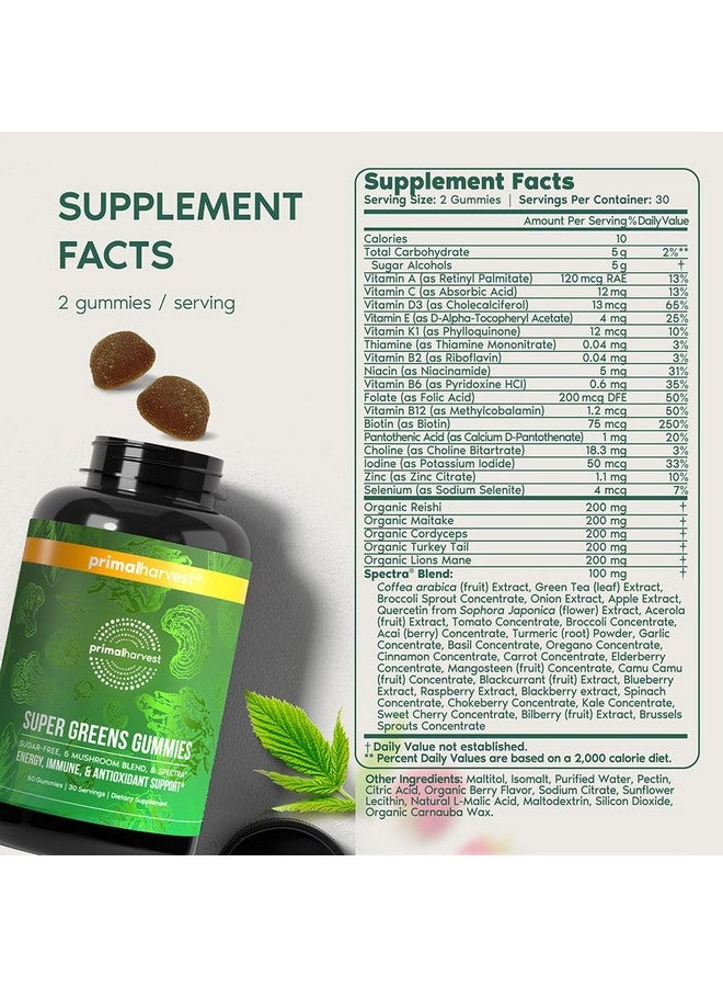 Primal Harvest Super Greens Gummies, Superfood Blend with Adaptogenic Mushrooms Vitamins & Nutrient-Rich Minerals & Antioxidants for Energy & Immune Support (1 Pack (60 Count), Berry) - Image 2
