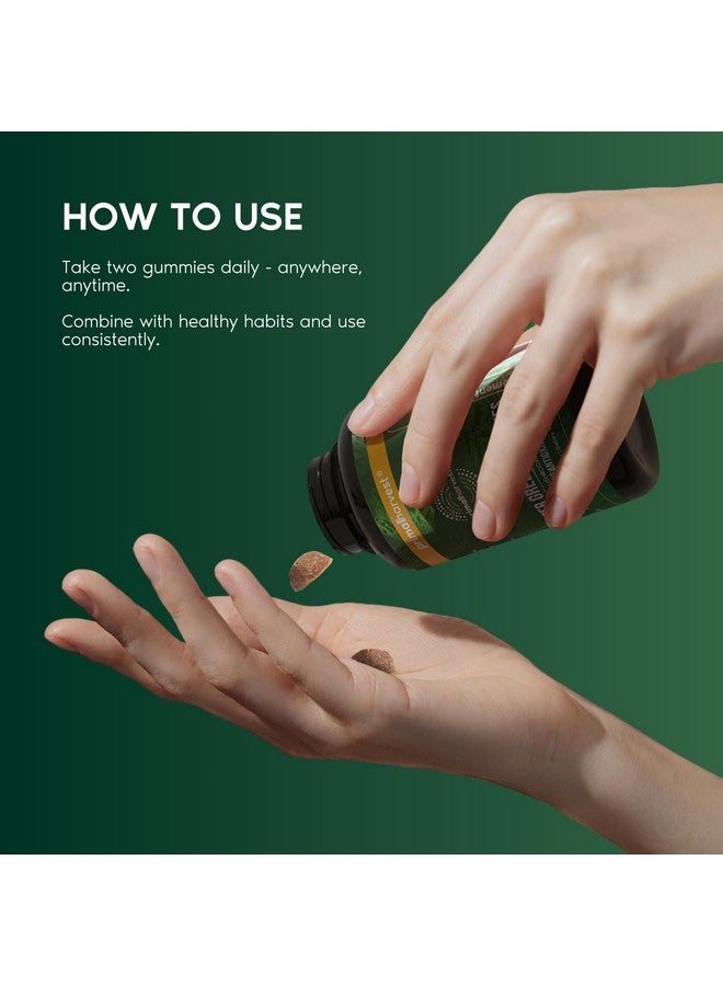 Primal Harvest Super Greens Gummies, Superfood Blend with Adaptogenic Mushrooms Vitamins & Nutrient-Rich Minerals & Antioxidants for Energy & Immune Support (1 Pack (60 Count), Berry) - Image 3