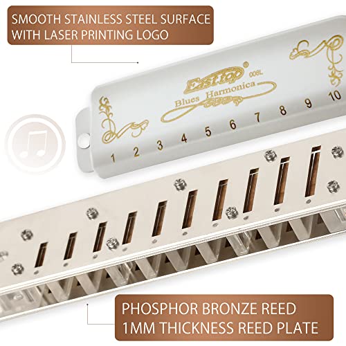 East top Blues Harmonica, 10 Holes 20 Tones Diatonic G Key with White Cover, T008L Harmonica - Image 3