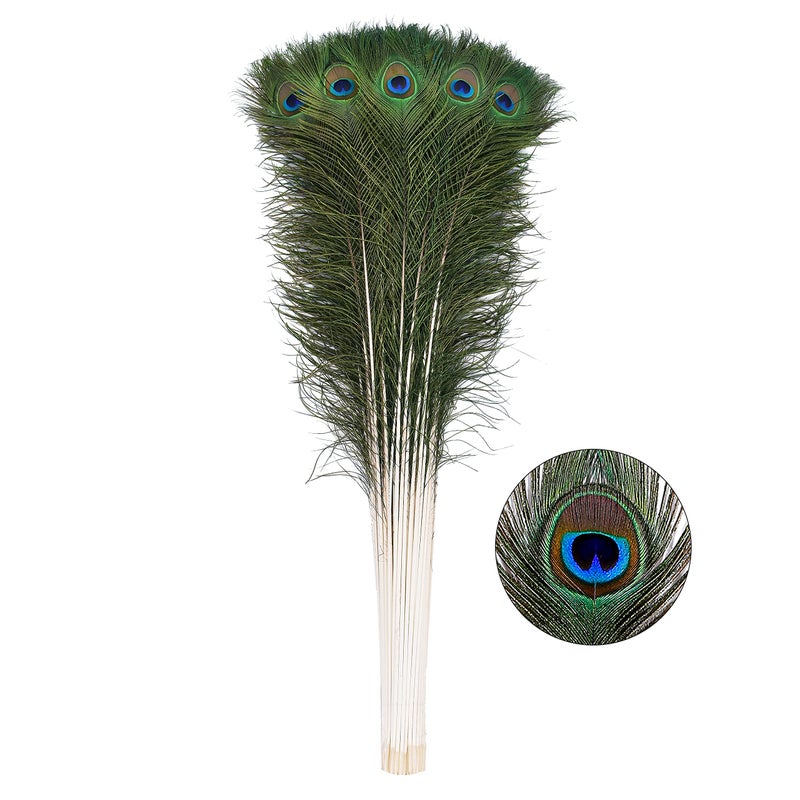 Ballinger 20pcs Natural Peacock Feathers Long Pole Bulk 4045 inch for DIY Craft Wedding Holiday Decorationn and Floral Arrangement