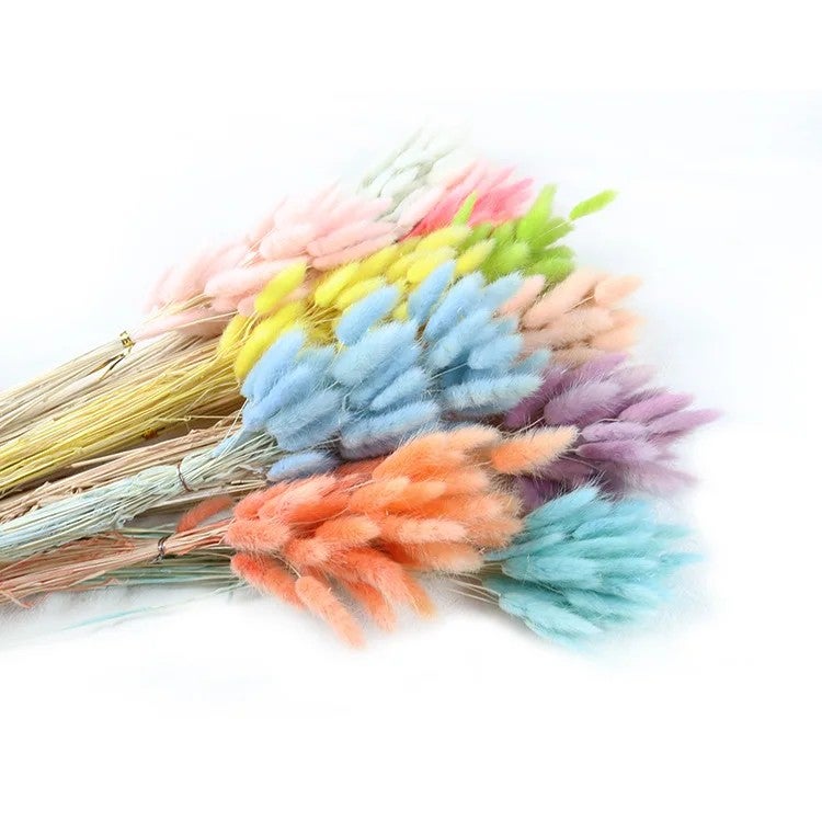 Bluejw 60pcs Natural Dried Bunny Tail Grass Bouquet - Colorful Real Dried Flowers Arrangement with Artificial Rabbit Tail - Eternal Dried Plants for Home Decor Wedding Floral Arrangements - Image 2