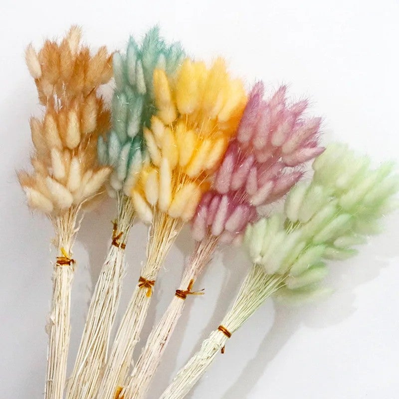 Bluejw 60pcs Natural Dried Bunny Tail Grass Bouquet - Colorful Real Dried Flowers Arrangement with Artificial Rabbit Tail - Eternal Dried Plants for Home Decor Wedding Floral Arrangements - Image 5